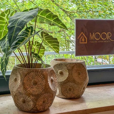 Moor Feeling Apartments Worpswede Zewnętrze zdjęcie