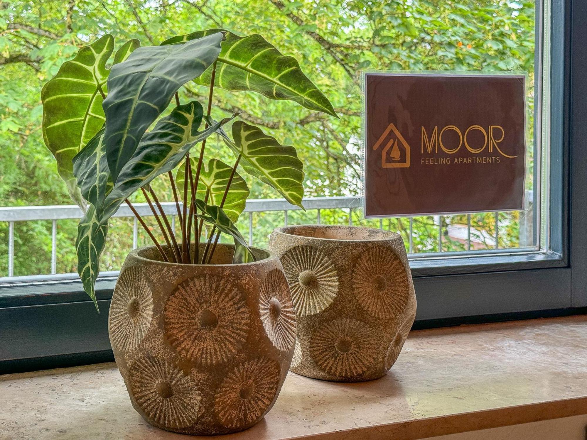 Moor Feeling Apartments Worpswede Zewnętrze zdjęcie